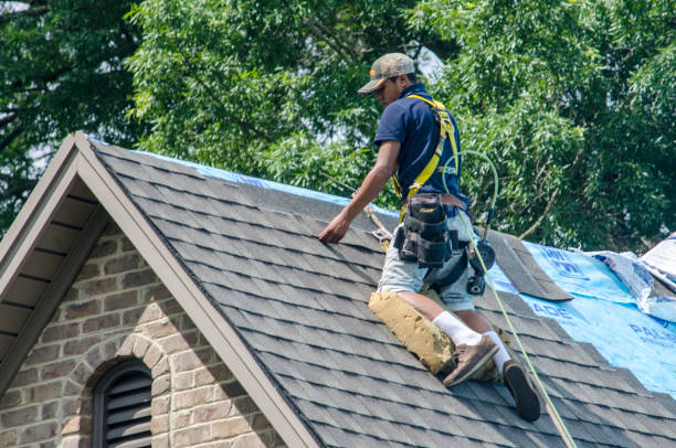 Best Gutter Installation and Roofing  in Coatesville, PA
